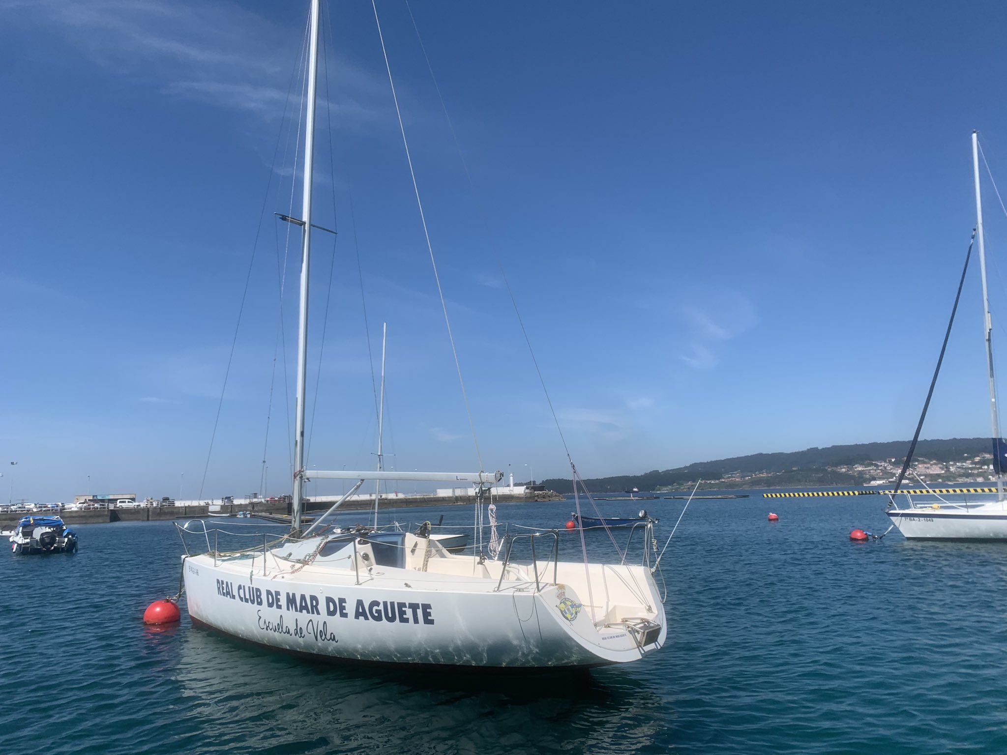 Vela